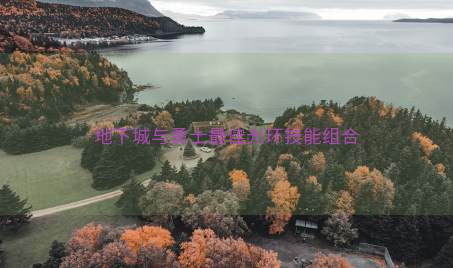 地下城与勇士最佳光环技能组合
