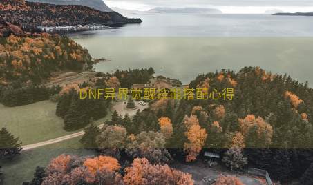 DNF异界觉醒技能搭配心得
