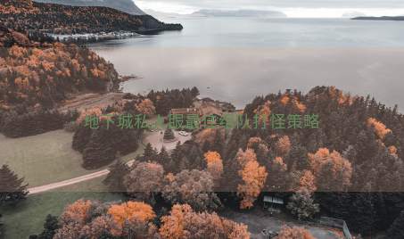 地下城私人服最佳组队打怪策略